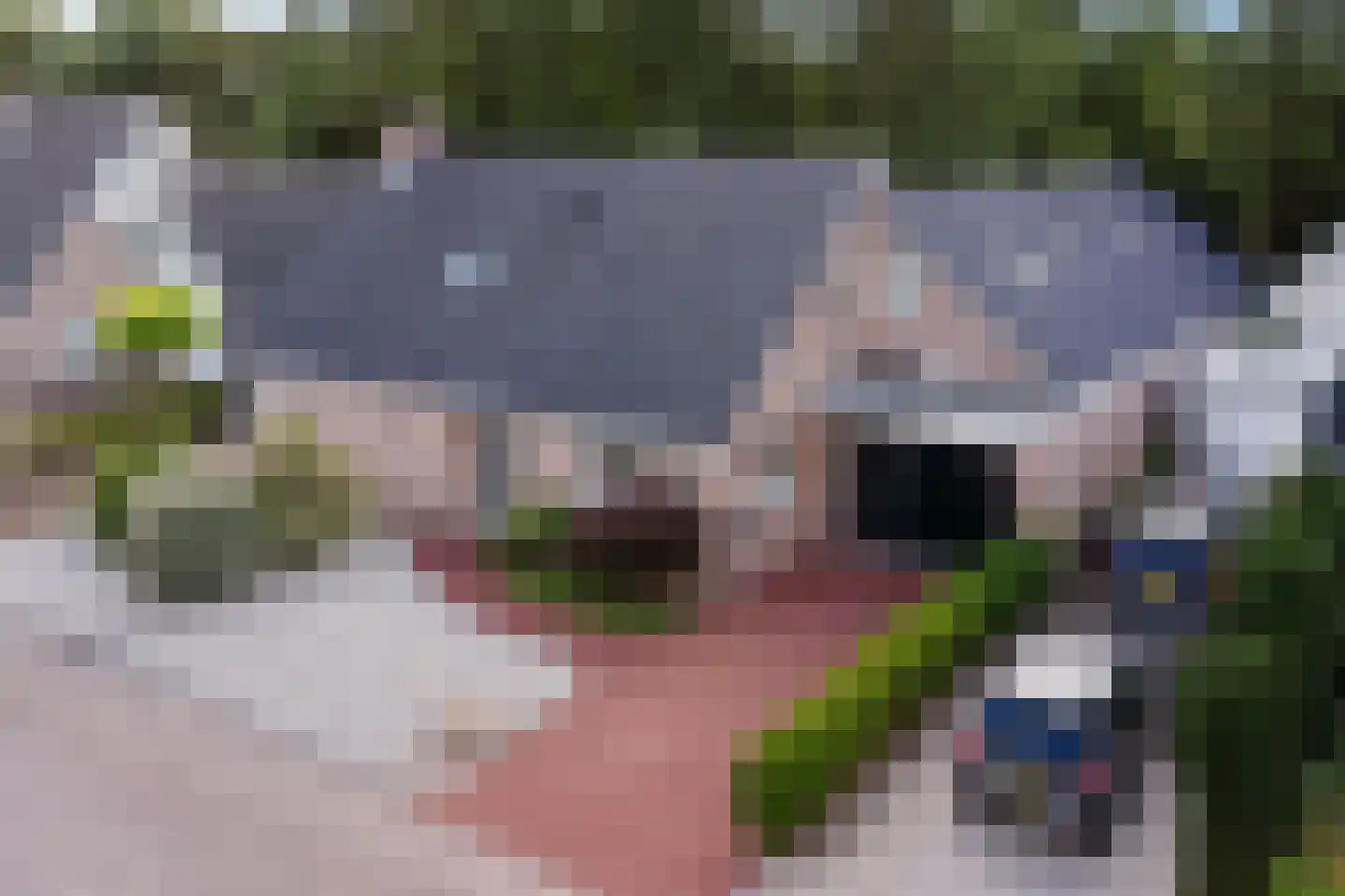Wolvenveen 16 Rolde thumbnail 50