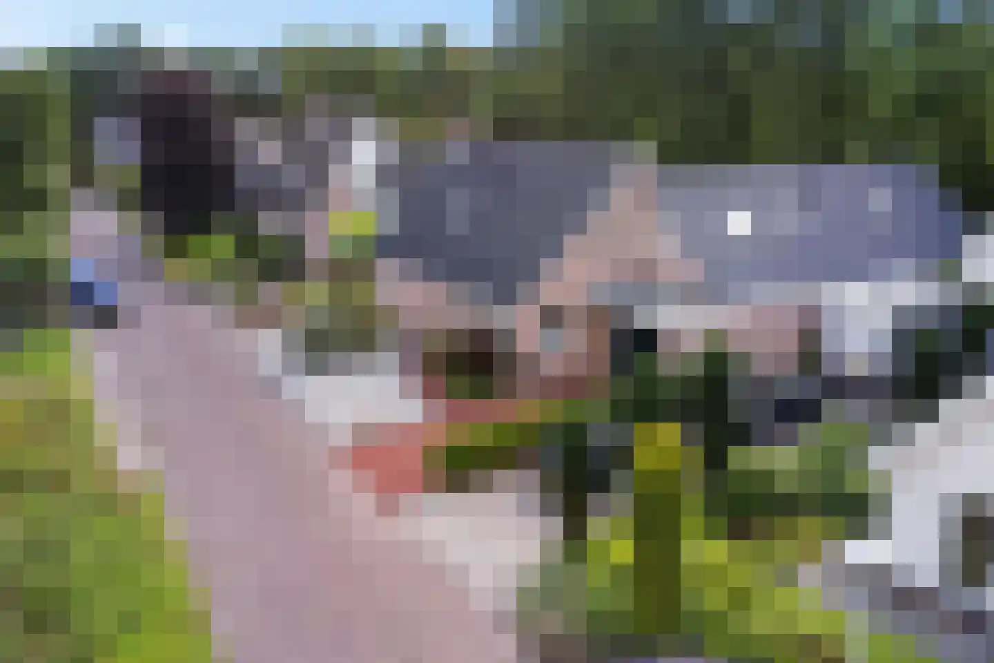 Wolvenveen 16 Rolde thumbnail 53