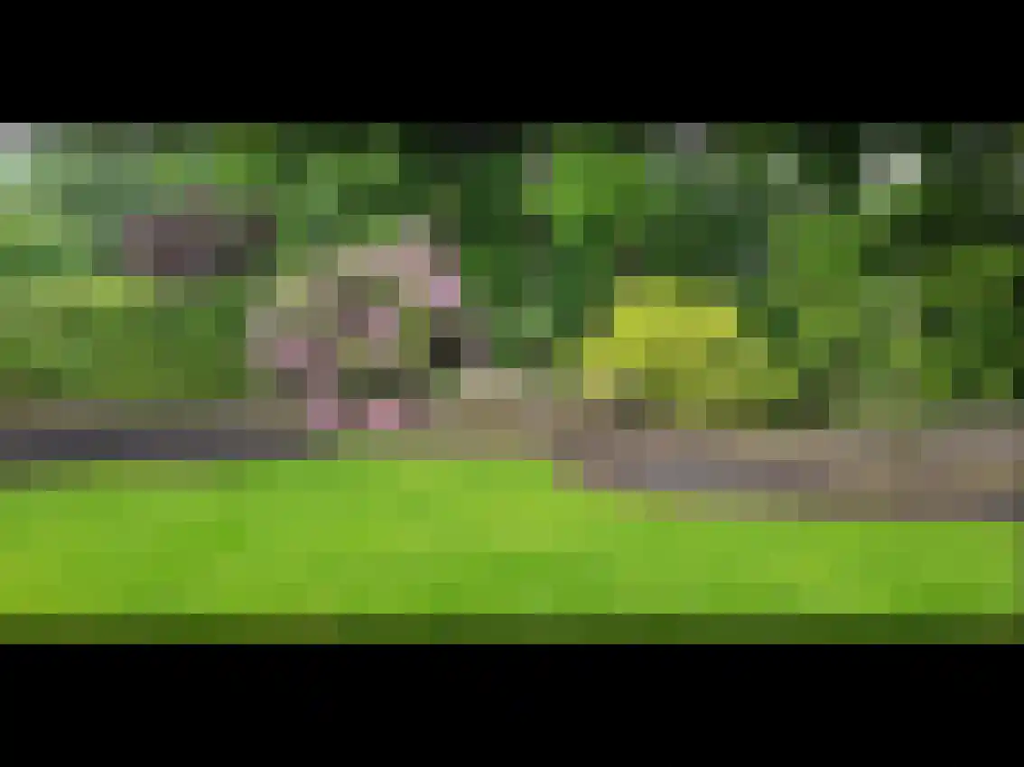 Wolvenveen 16 Rolde thumbnail 59