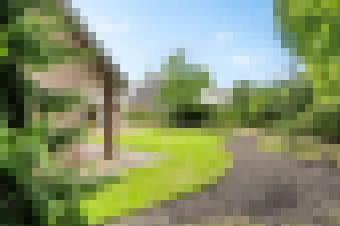 Wolvenveen 16 Rolde thumbnail 64