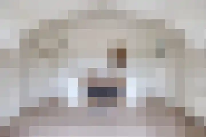 Wolvenveen 28 Rolde thumbnail 30