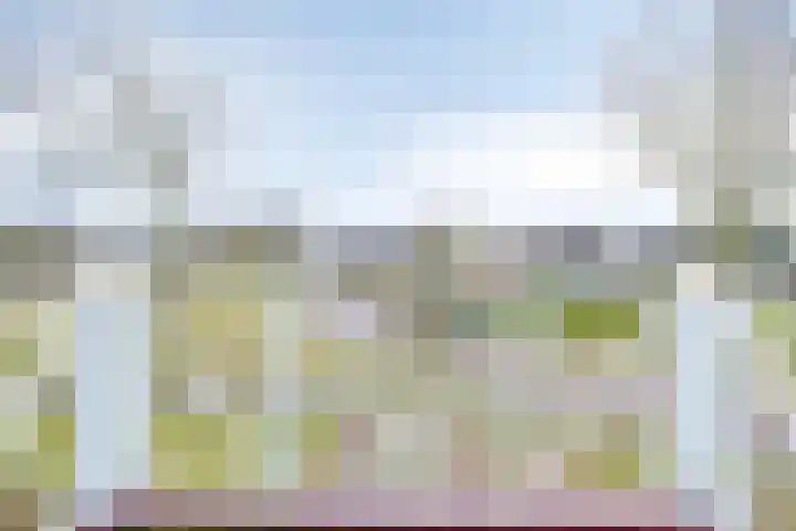 Wolvenveen 28 Rolde thumbnail 34
