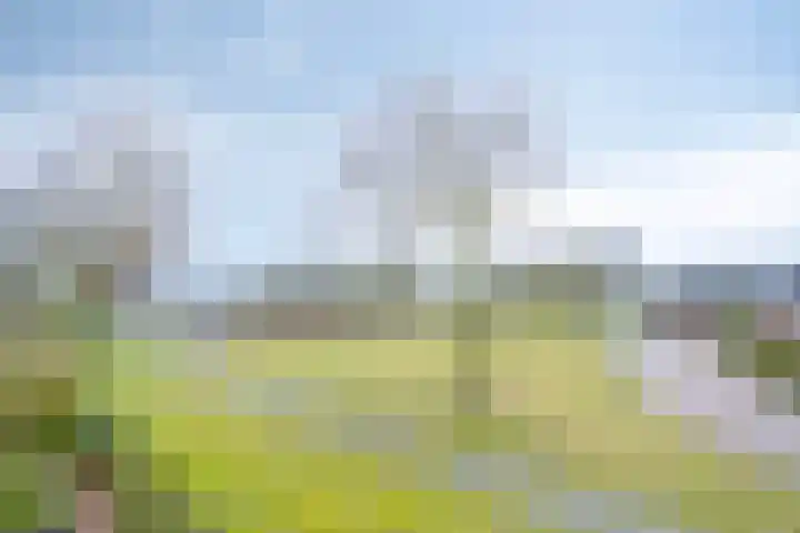 Wolvenveen 28 Rolde thumbnail 35
