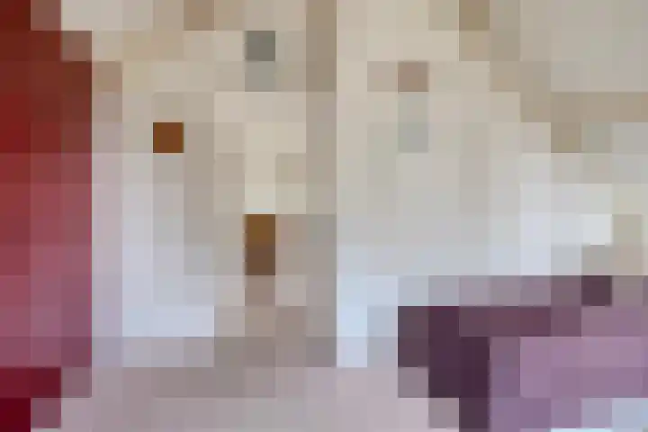 Wolvenveen 28 Rolde thumbnail 38