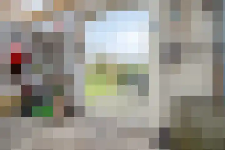 Wolvenveen 28 Rolde thumbnail 47