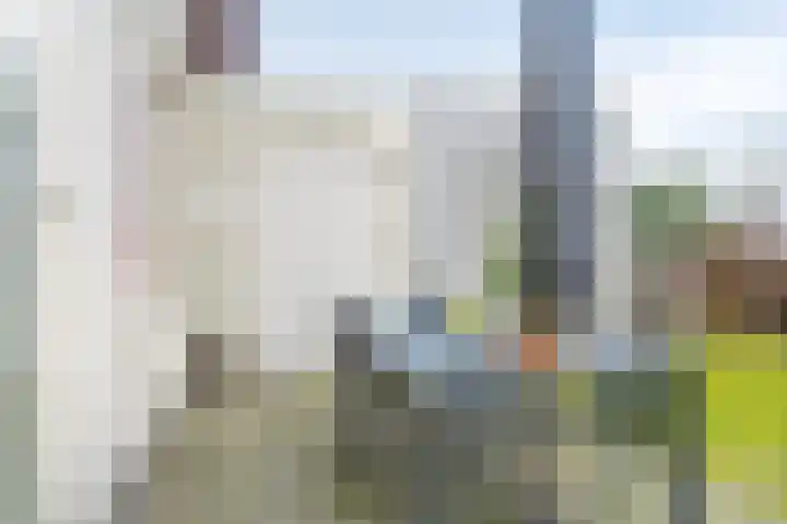 Wolvenveen 28 Rolde thumbnail 48