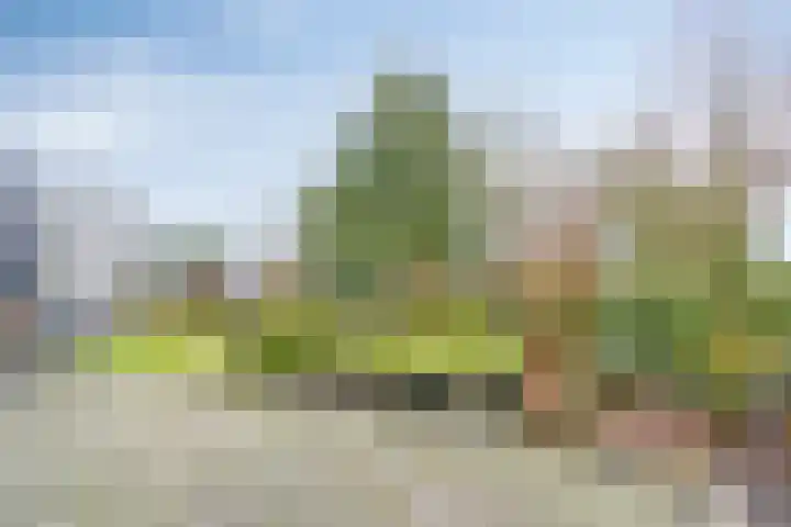 Wolvenveen 28 Rolde thumbnail 49