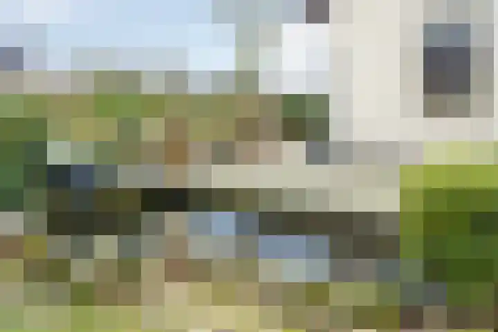 Wolvenveen 28 Rolde thumbnail 51