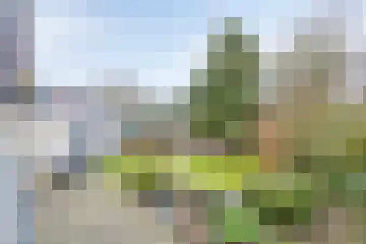 Wolvenveen 28 Rolde thumbnail 53