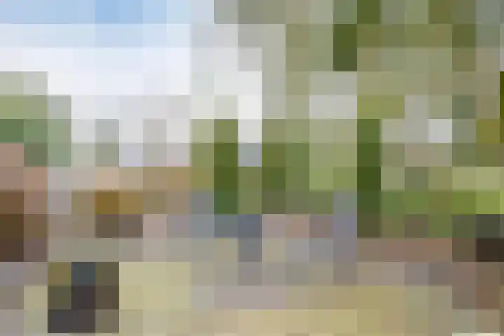 Wolvenveen 28 Rolde thumbnail 54