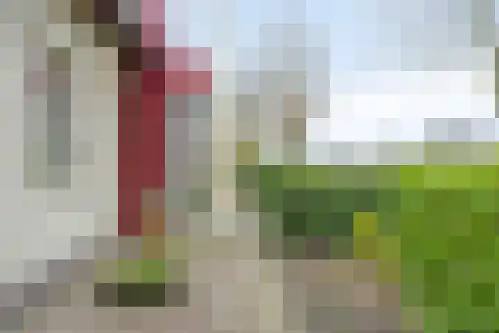 Wolvenveen 28 Rolde thumbnail 56