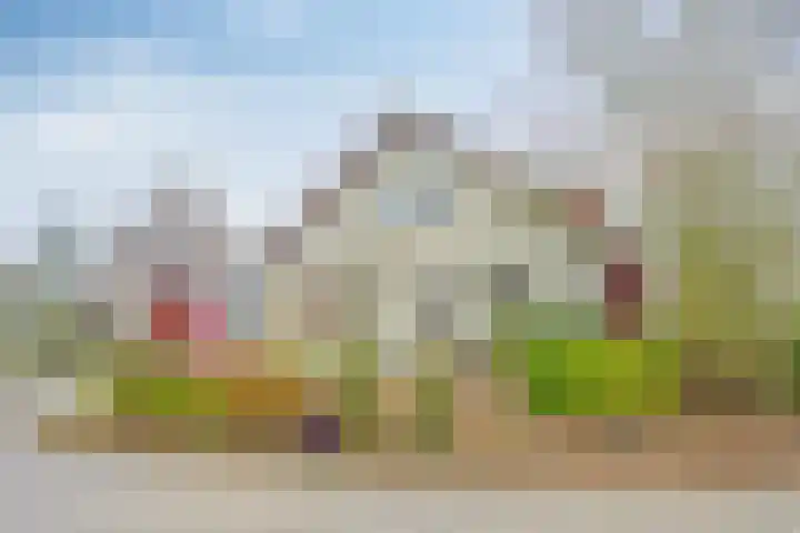 Wolvenveen 28 Rolde thumbnail 59