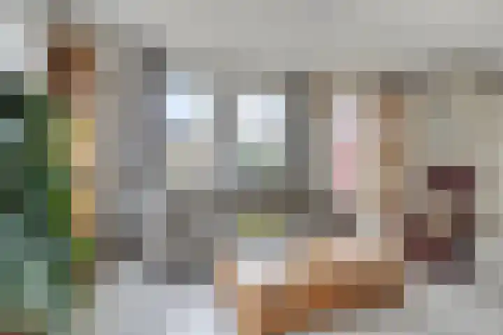 Wolvenveen 28 Rolde thumbnail 6