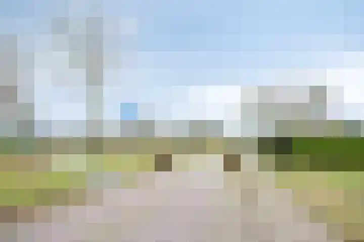 Wolvenveen 28 Rolde thumbnail 63