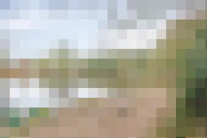 Wolvenveen 28 Rolde thumbnail 64