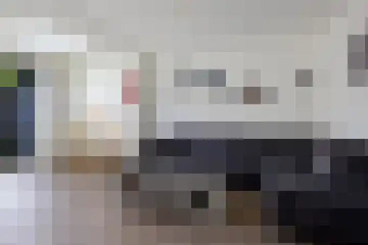 Wolvenveen 53 Assen thumbnail 14