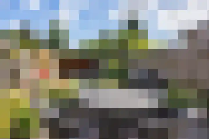 Wolvenveen 53 Assen thumbnail 35