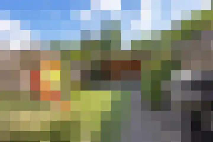 Wolvenveen 53 Assen thumbnail 36