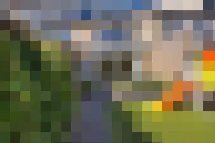 Wolvenveen 53 Assen thumbnail 37