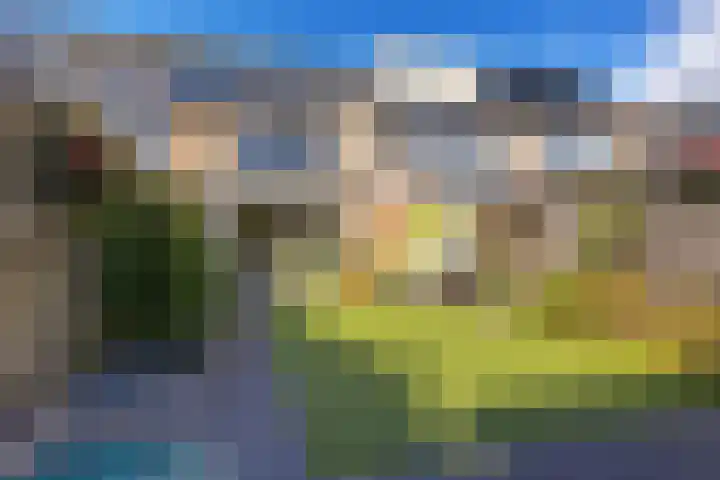 Wolvenveen 53 Assen thumbnail 38
