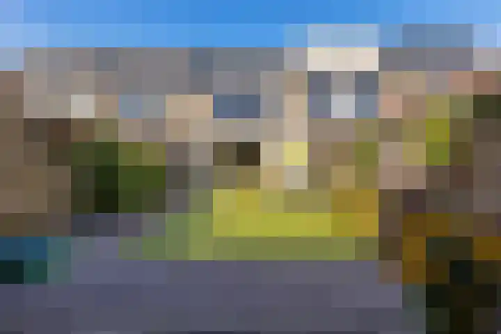 Wolvenveen 53 Assen thumbnail 39