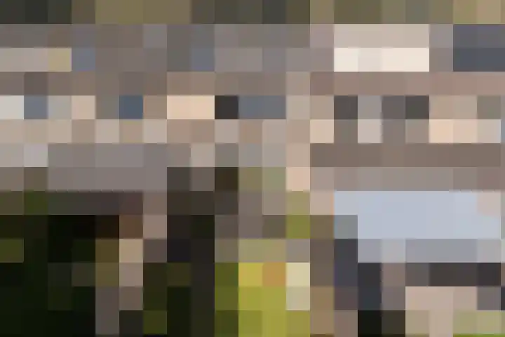 Wolvenveen 53 Assen thumbnail 45