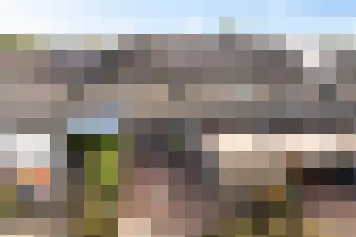 Wolvenveen 53 Assen thumbnail 47