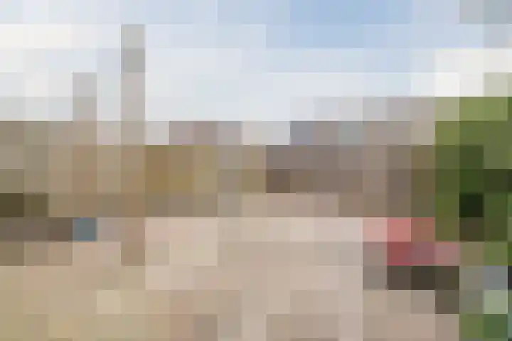Wolvenveen 64 Assen thumbnail 33