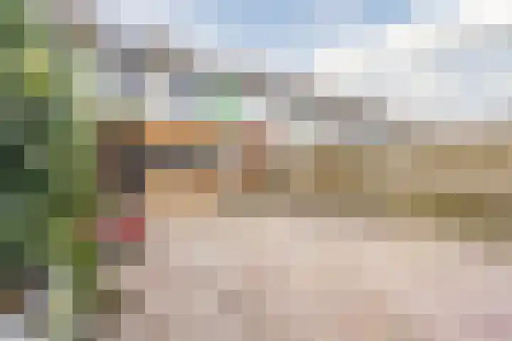 Wolvenveen 64 Assen thumbnail 35