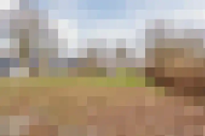 Wolvenveen 64 Assen thumbnail 37