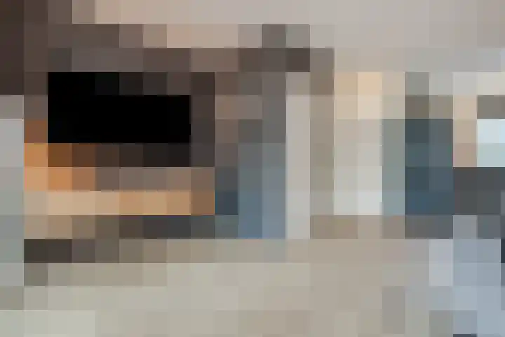 Wolvenveen 64 Assen thumbnail 8