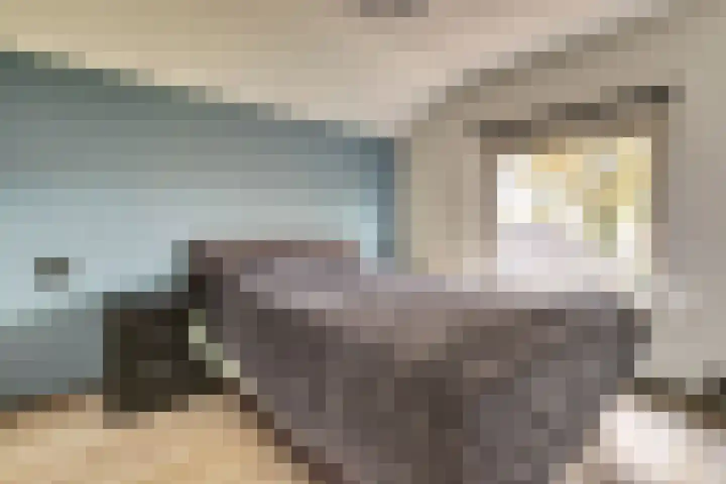 Wolvenweg 29 Ruinen thumbnail 25