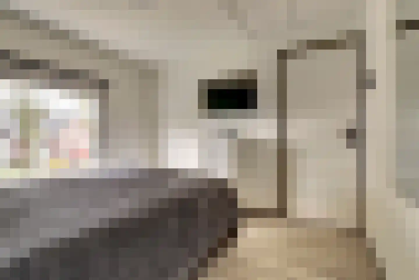 Wolvenweg 29 Ruinen thumbnail 26