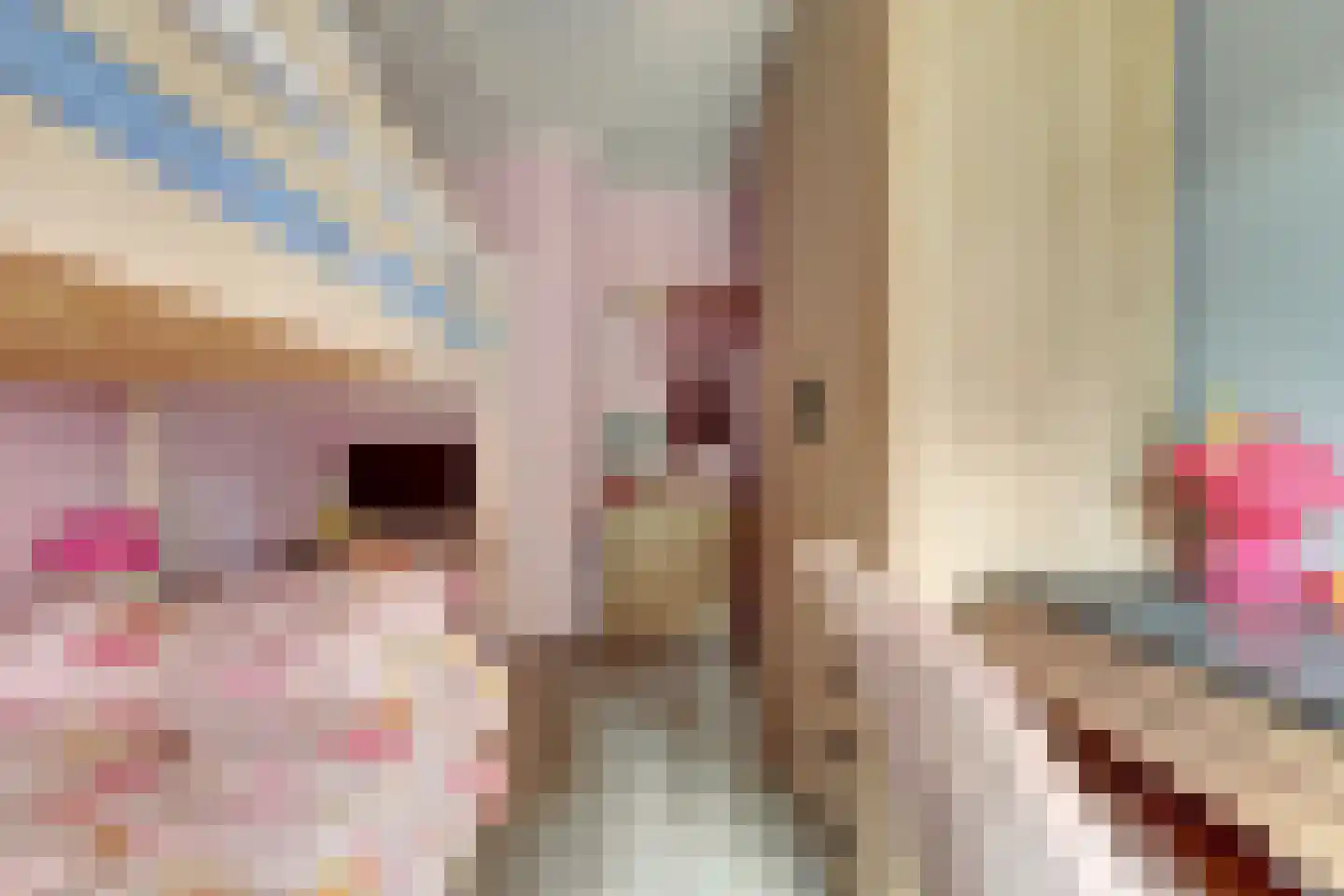 Wolvenweg 29 Ruinen thumbnail 28