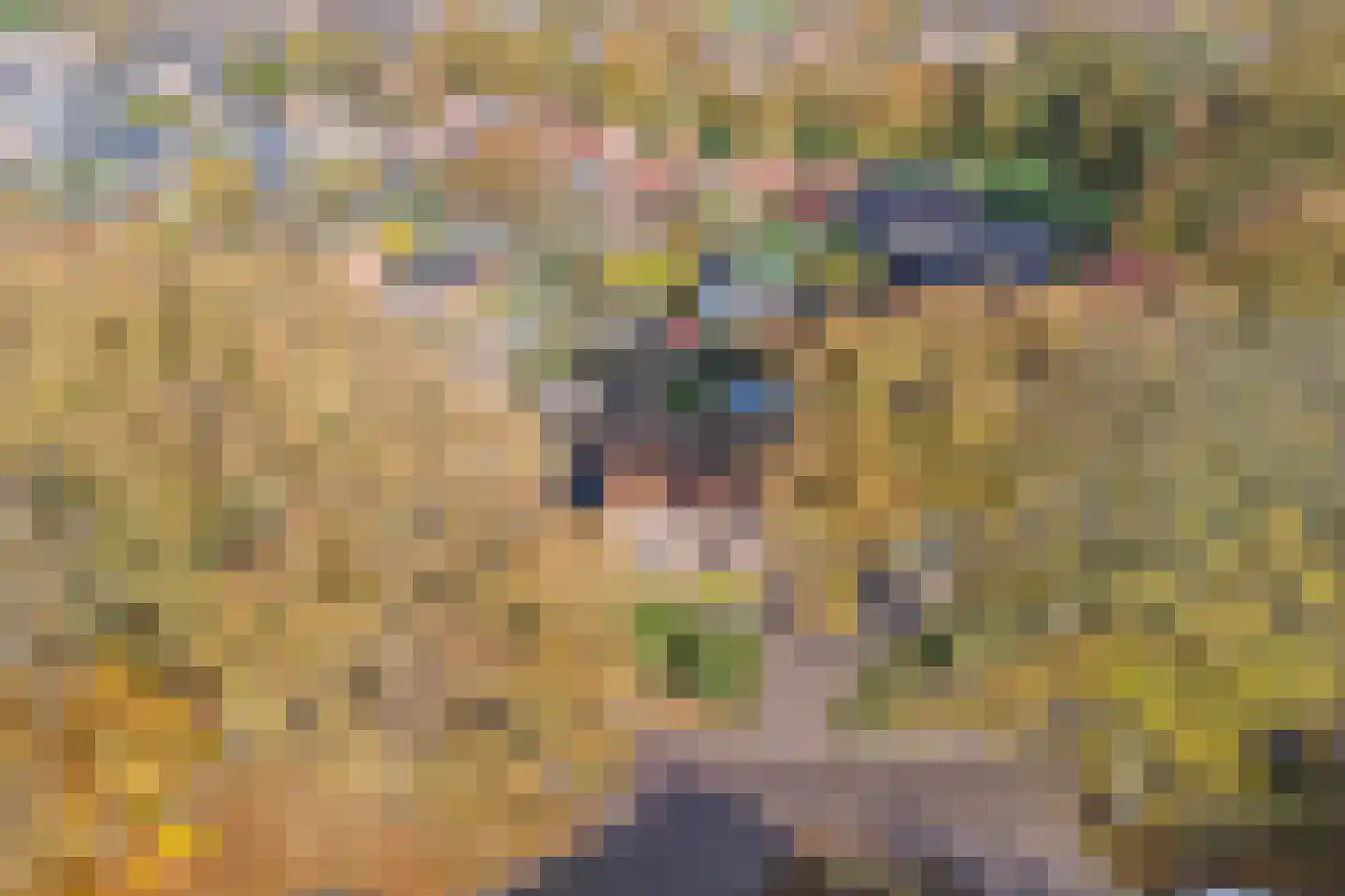 Wolvenweg 29 Ruinen thumbnail 33