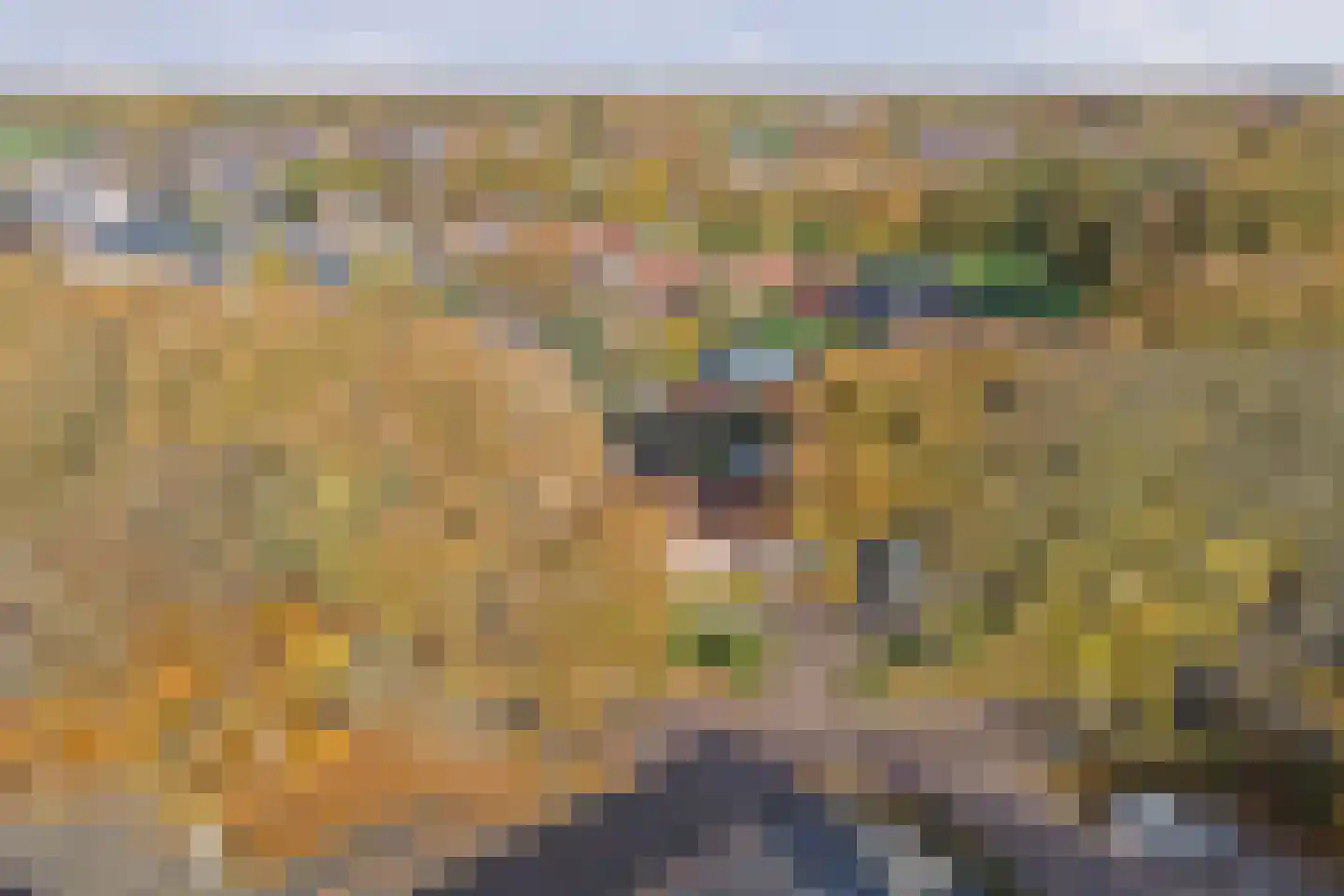 Wolvenweg 29 Ruinen thumbnail 34