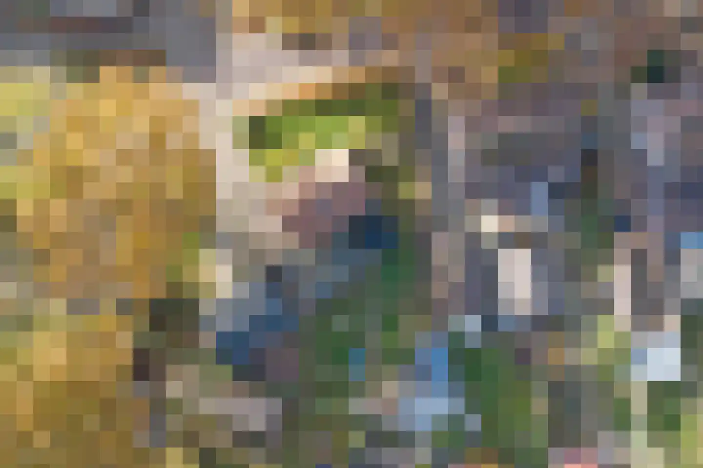 Wolvenweg 29 Ruinen thumbnail 4