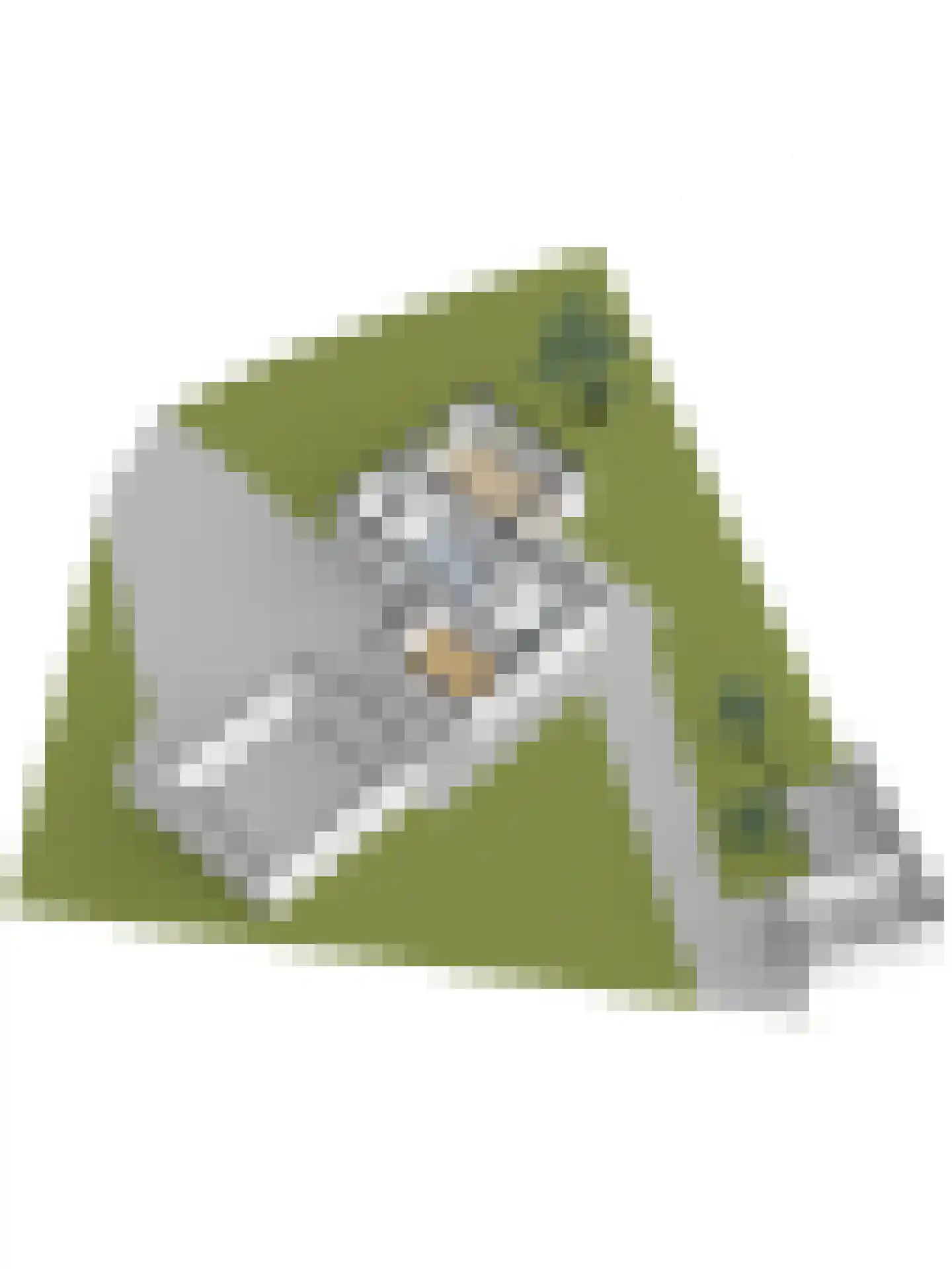 Wolvenweg 29 Ruinen thumbnail 41