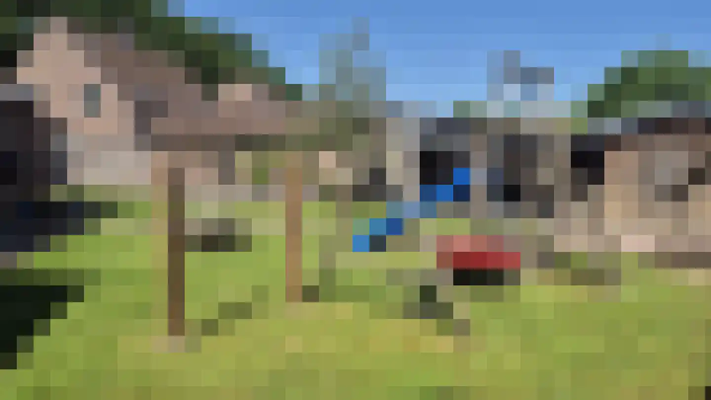 Wolvenweg 29 Ruinen thumbnail 7