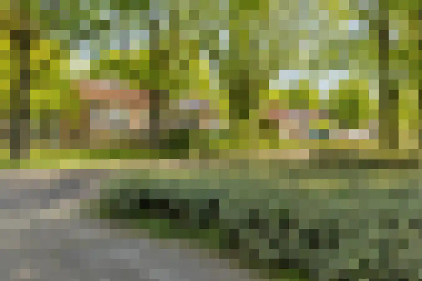 Wolvenweg 9 Tilburg thumbnail 53