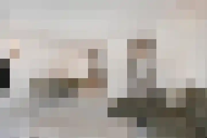 Wolvepad 16 Berghem thumbnail 18