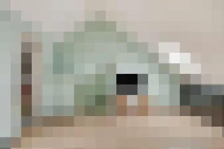Wolvepad 16 Berghem thumbnail 31