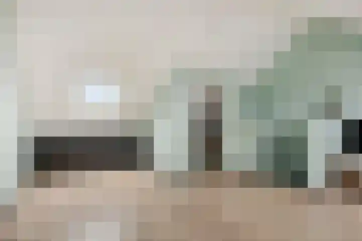 Wolvepad 16 Berghem thumbnail 32
