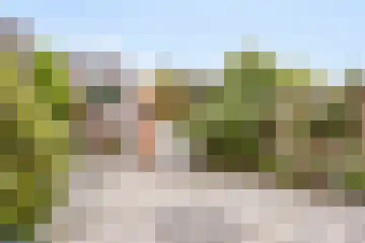 Wolvepad 16 Berghem thumbnail 36