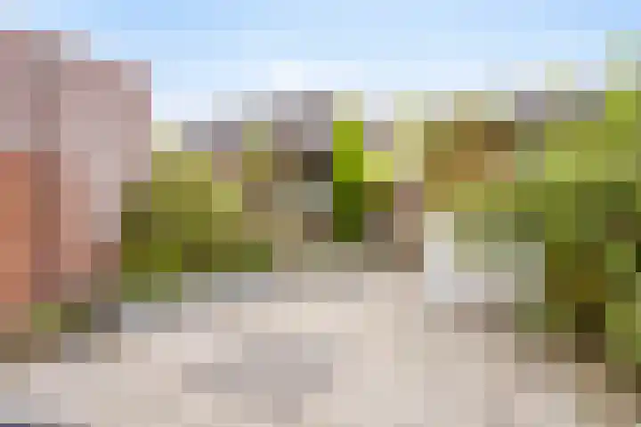 Wolvepad 16 Berghem thumbnail 37