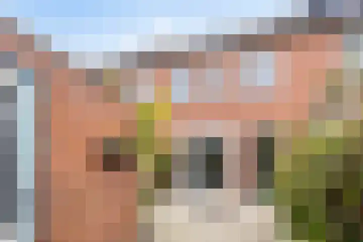 Wolvepad 16 Berghem thumbnail 38