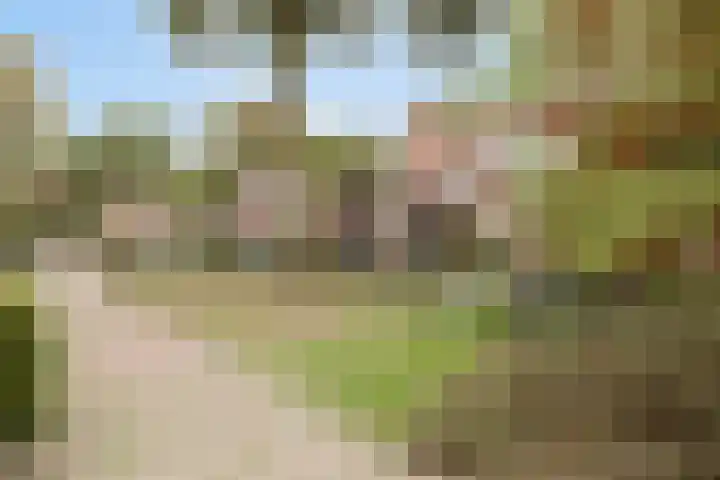 Wolvepad 16 Berghem thumbnail 40