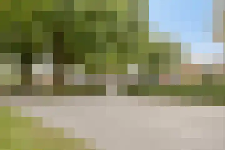 Wolvepad 16 Berghem thumbnail 41