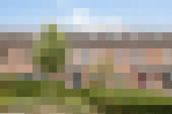Wolvepad 16 Berghem thumbnail 6