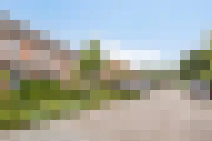 Wolvepad 16 Berghem thumbnail 7